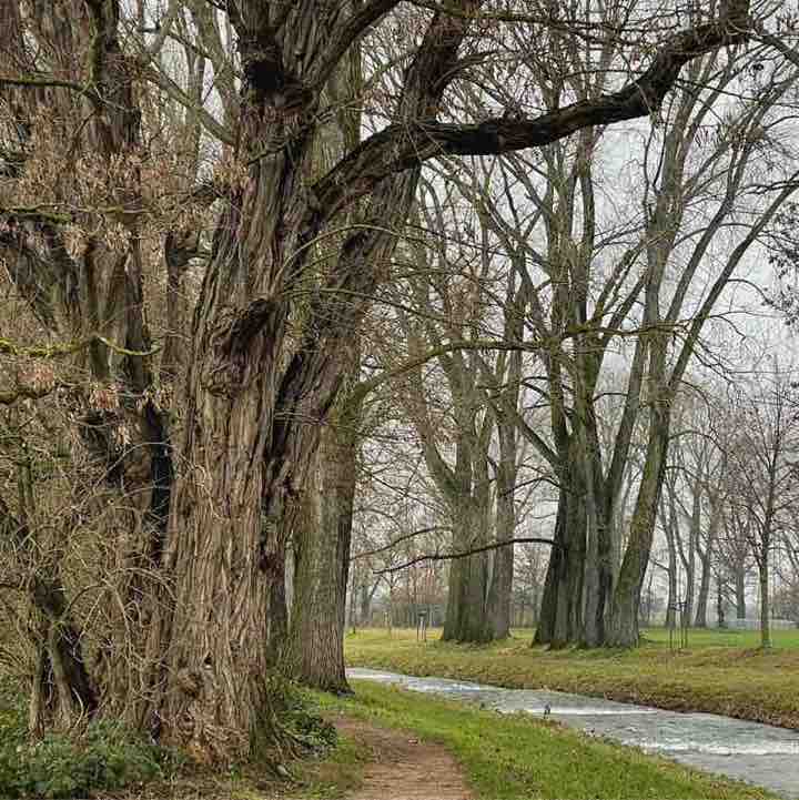 P.S. для своих ❤️ Anastasia post image