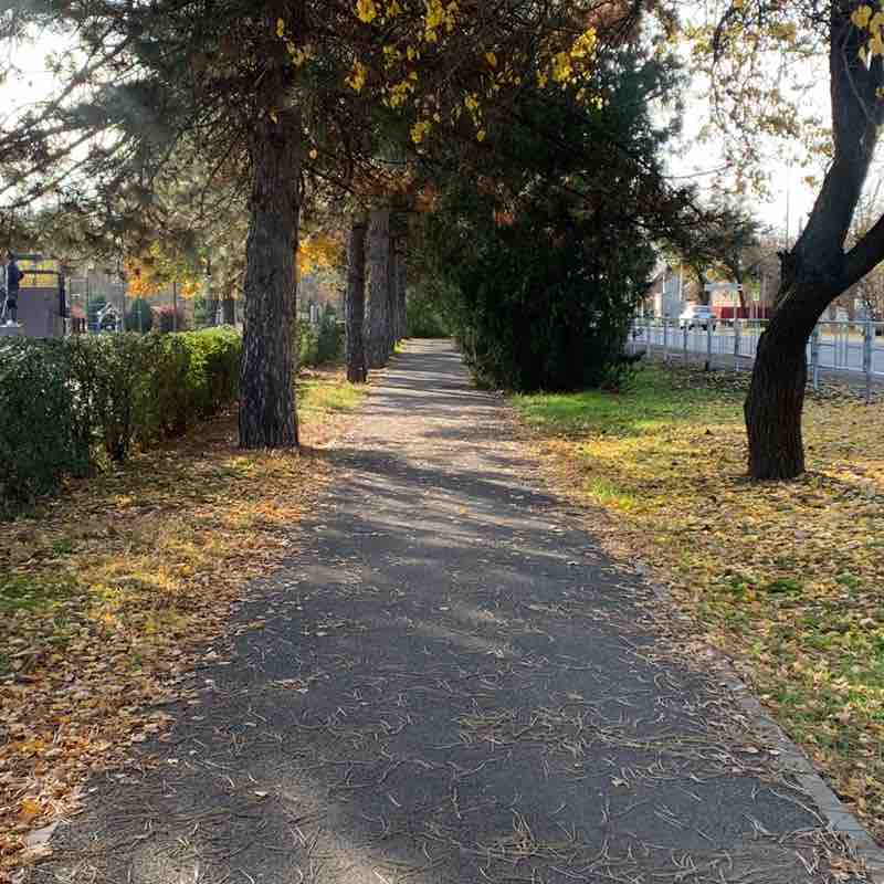 💞 Бегаем Ростов-на-Дону 🏃✨ Евгений post image