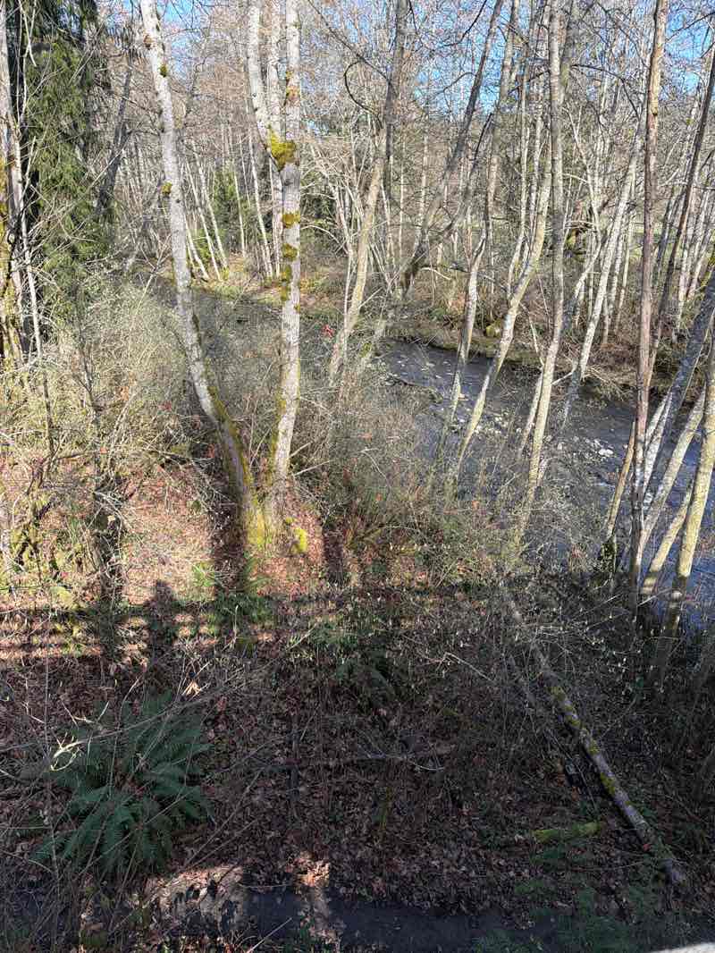 walking near me in Morse Creek Wildlife Area in spring
