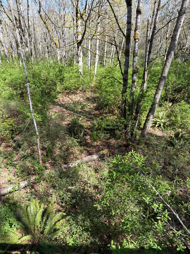 walking near me in Morse Creek Wildlife Area in spring