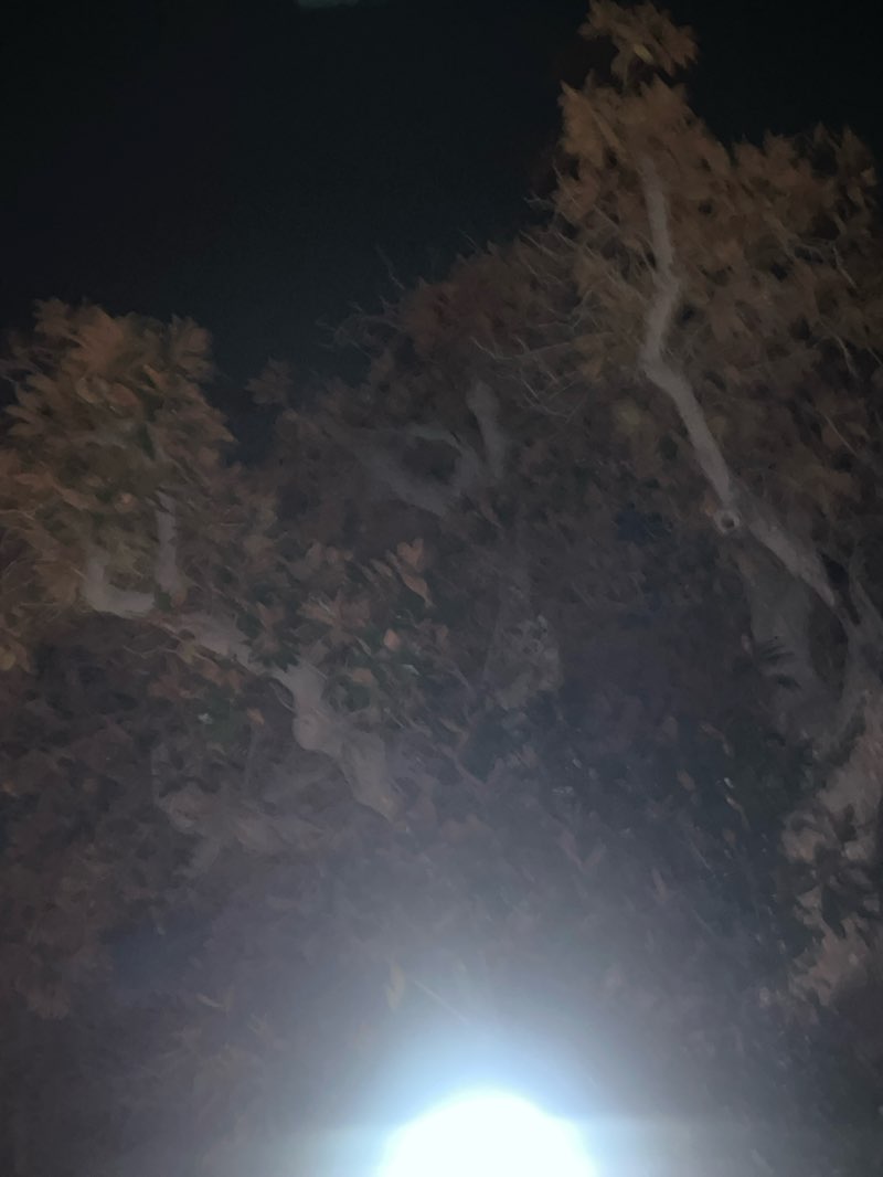 walking near me in Playhouse Village Park in winter