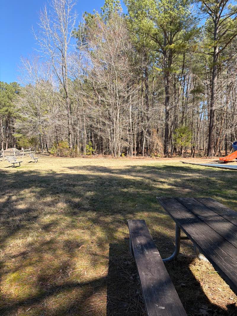 walking near me in Cedarville State Forest in spring