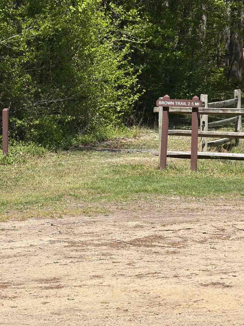 walking near me in Cedarville State Forest in spring