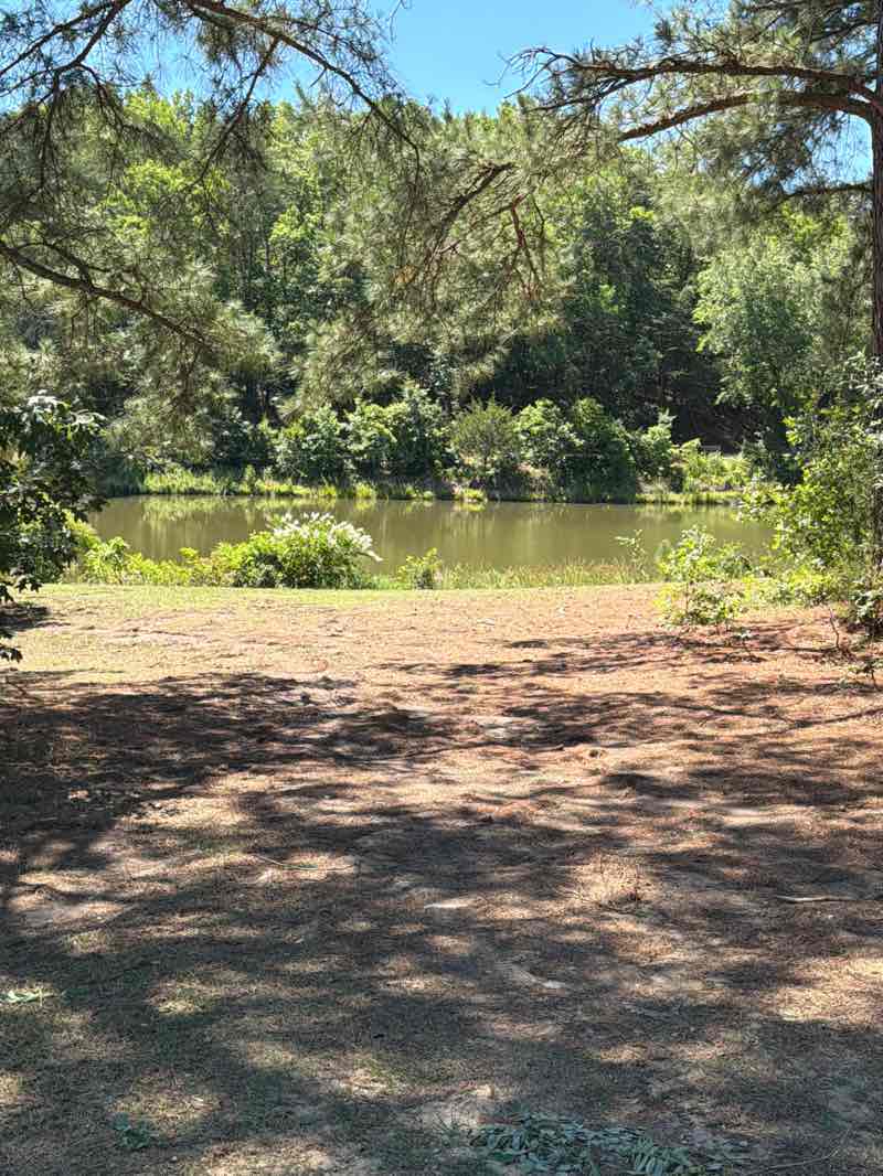 walking near me in Tilghman Park in summer