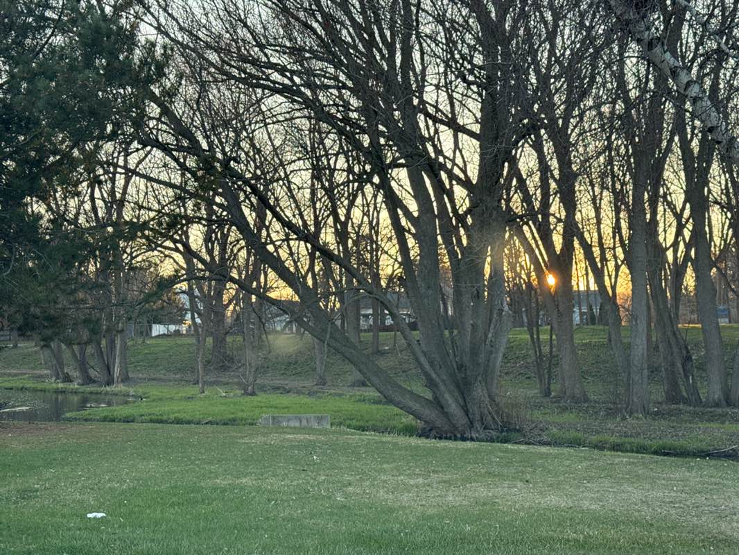 walking near me in Hartbrook Park in spring