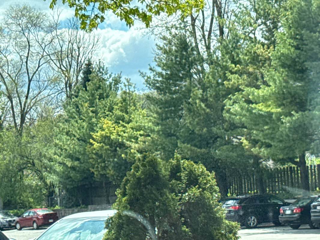 walking near me in Horeb Spring Park in spring