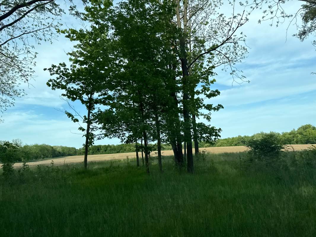 walking near me in Nashotah Park in summer