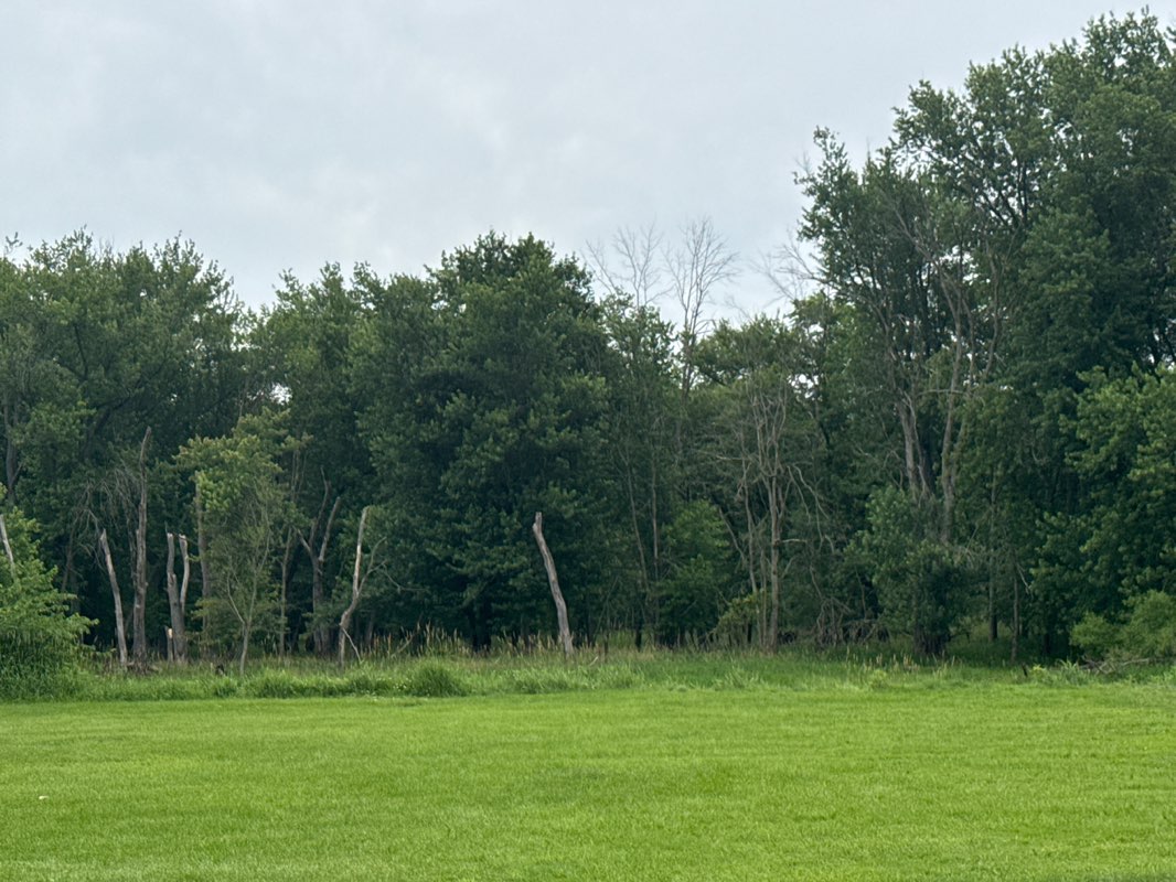walking near me in Wayside Park in summer