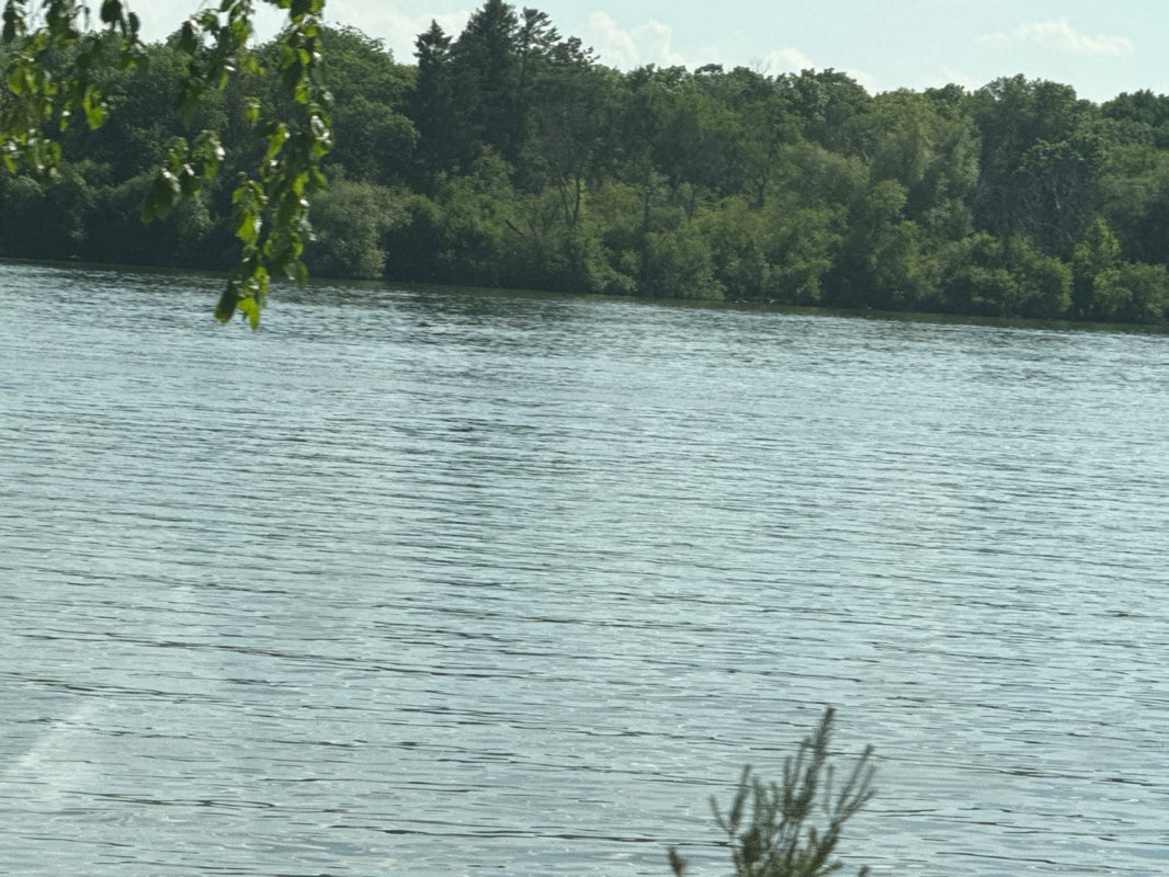 walking near me in Public Boat Launch in summer