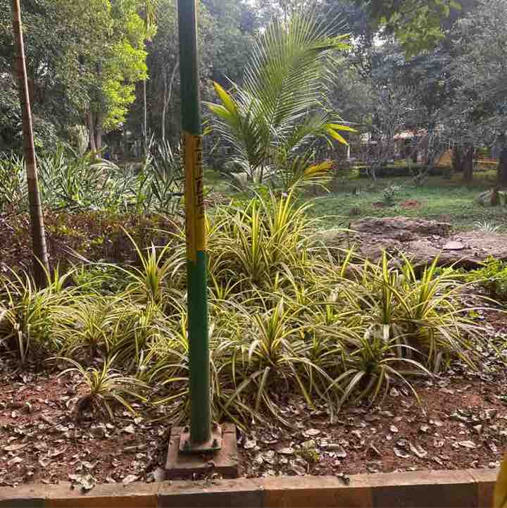 SHARATH post 1