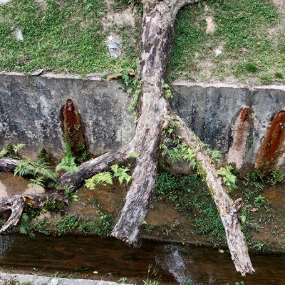 THORIQ YA HAJJ - SENIOR Farida Pardi post image