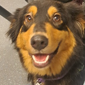 justyna t pkd profile