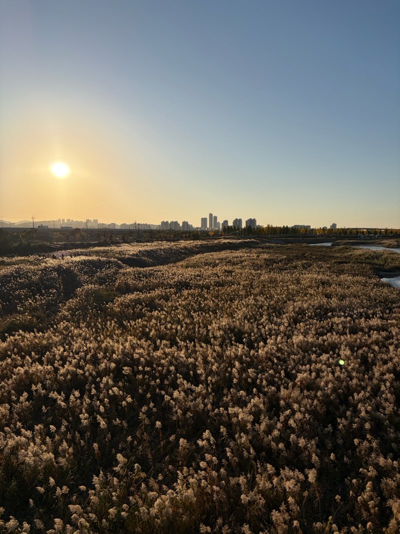 walking near me in 평택역 후문 광장 in autumn