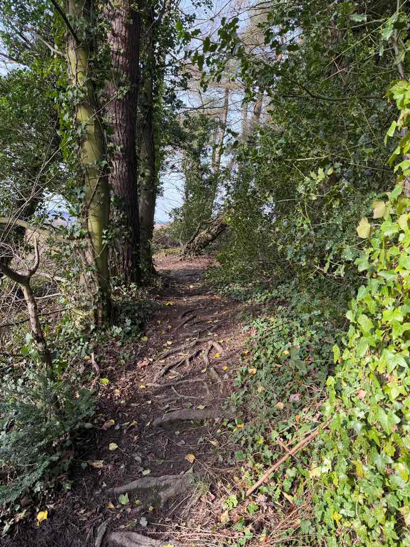 walking near me in Powrie Park in winter