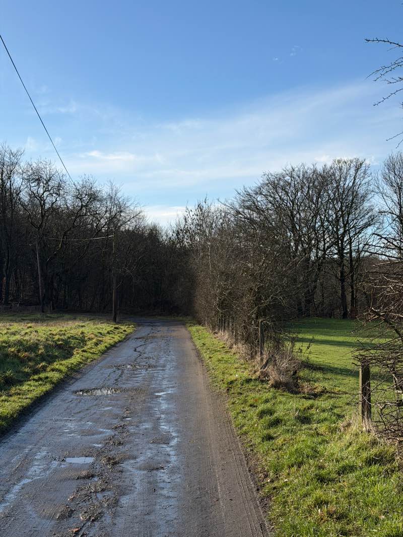 walking near me in New Carden Super Park in winter
