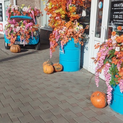 филиал ТНФ в г. Новороссийске Анита Л post image