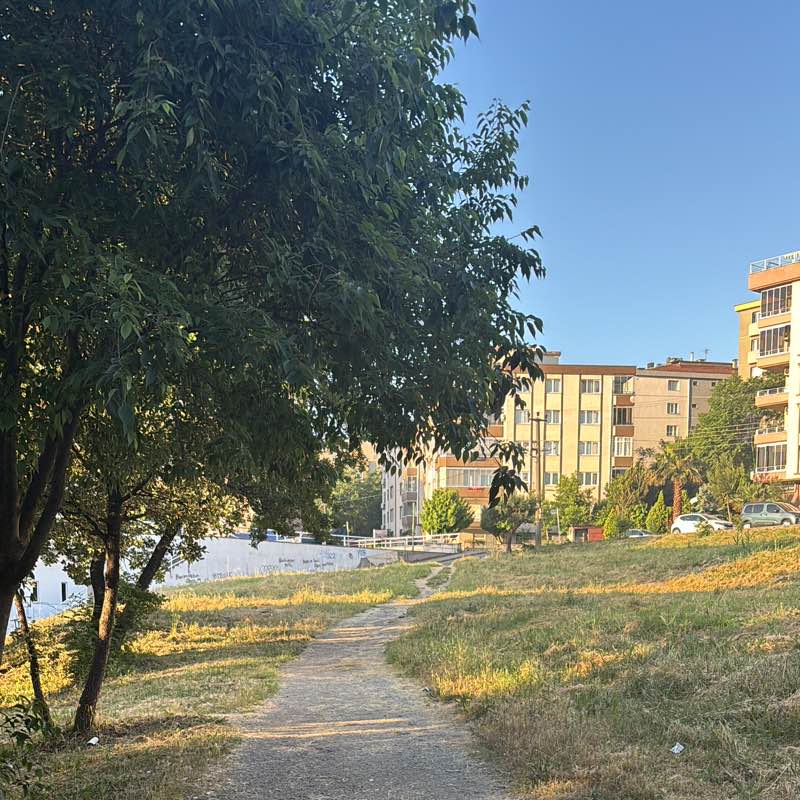 İlknur