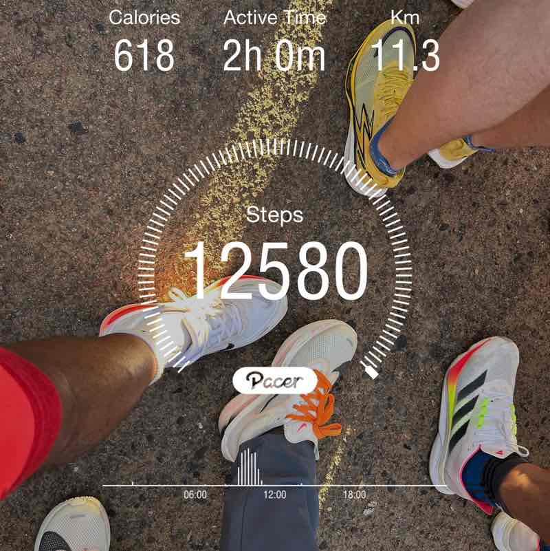 Delta Galil Egypt Parvatharajan post image