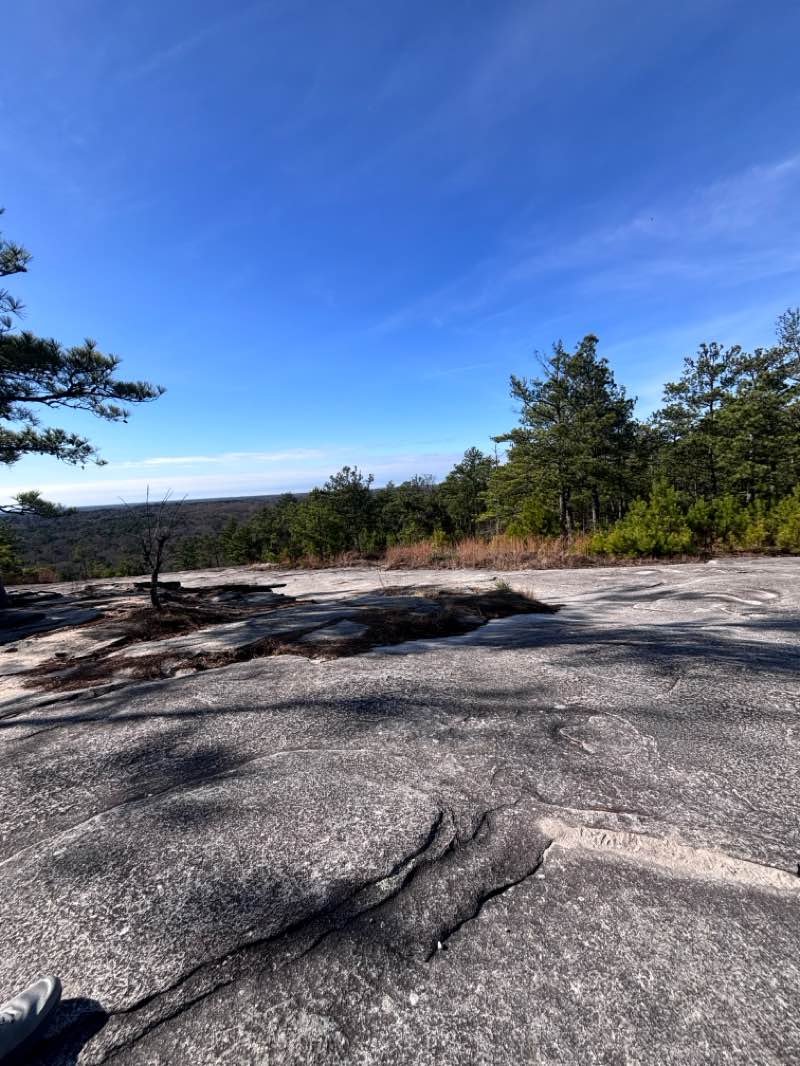 walking near me in Stone Mountain Park in winter
