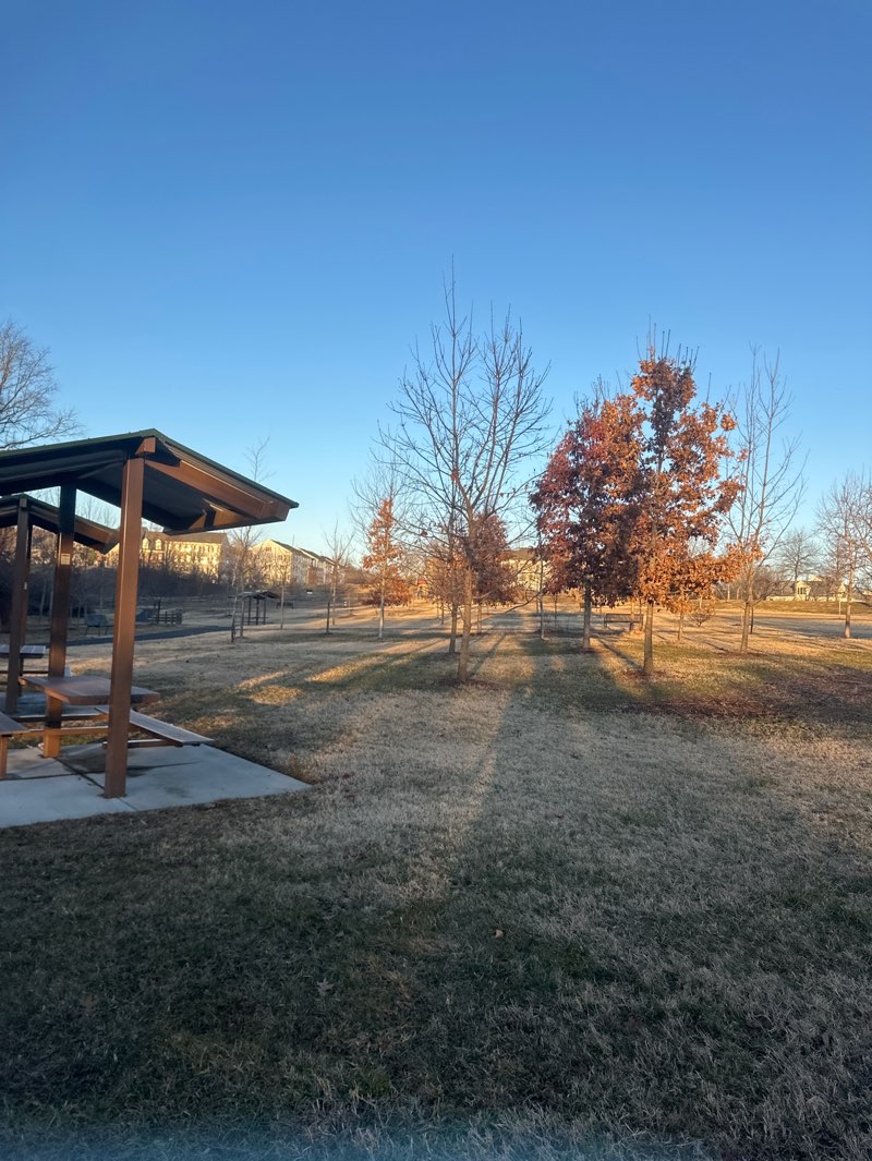 walking near me in Discovery Park in winter