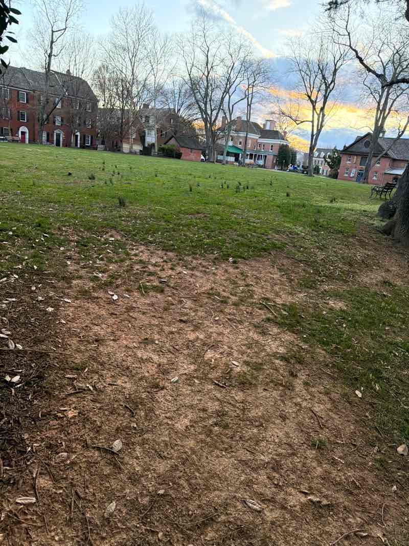 walking near me in Kentlands Green in spring