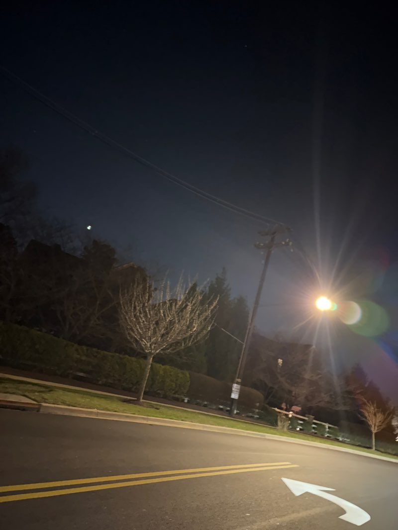 walking near me in Crown Woods in spring