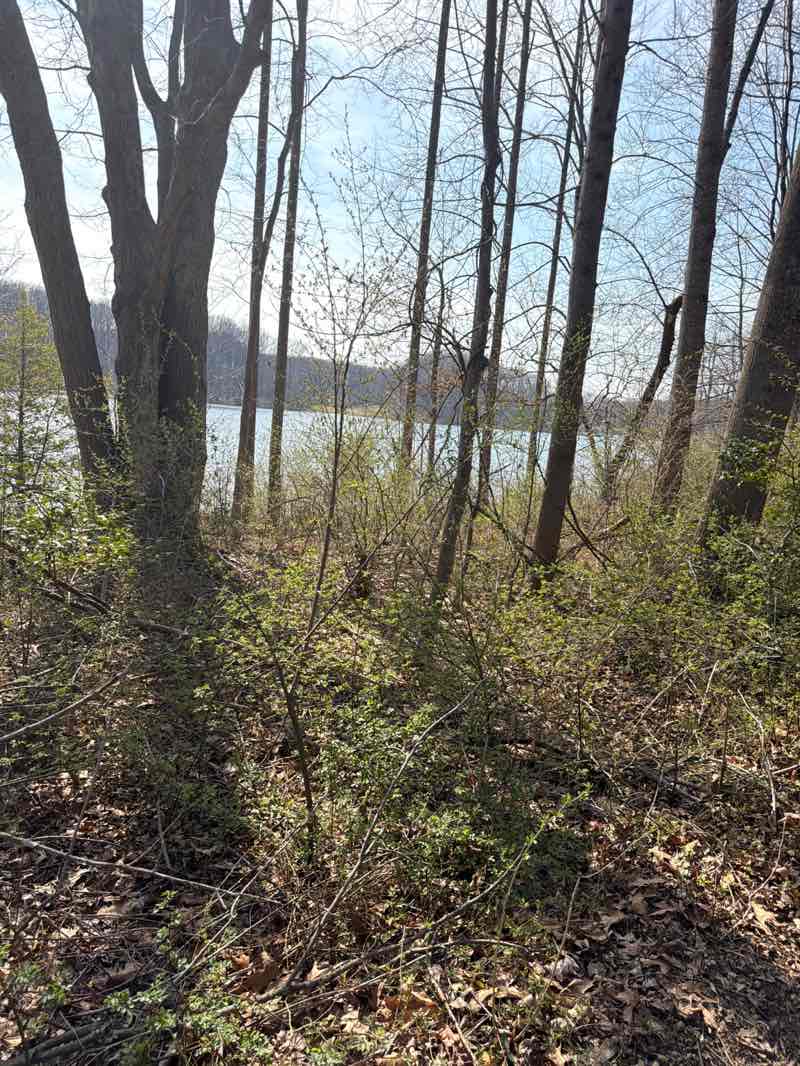 walking near me in Seneca Creek State Park in spring