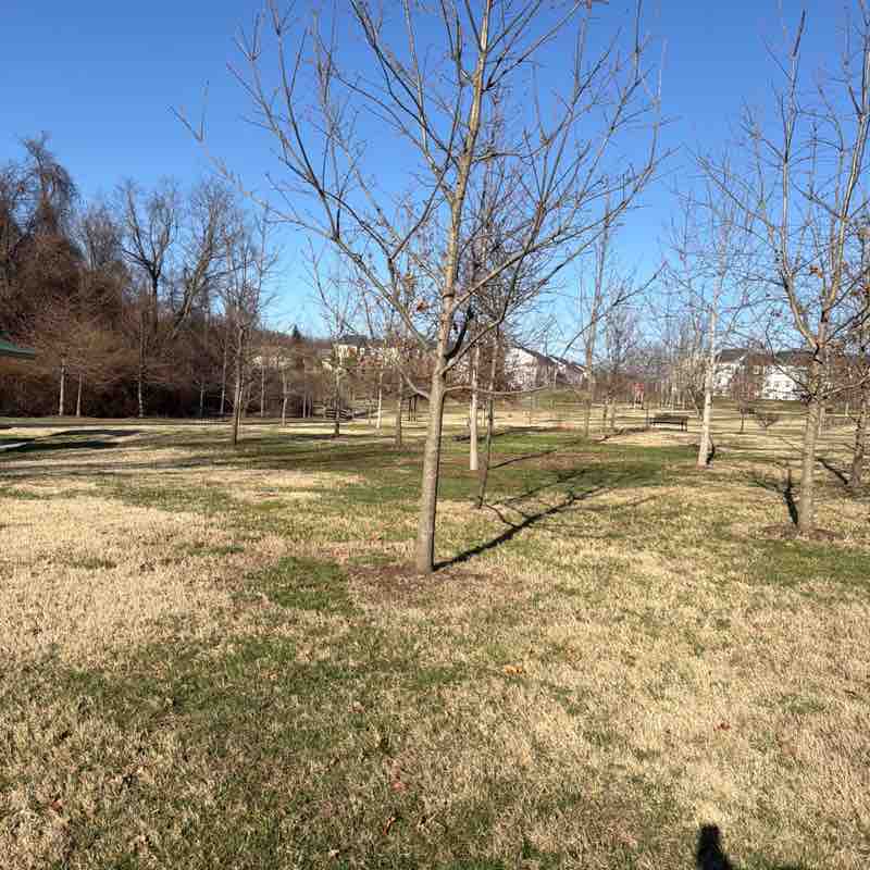 Williamsworth post 3