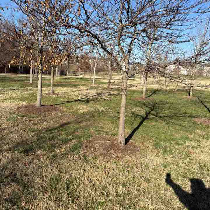 Williamsworth post 2