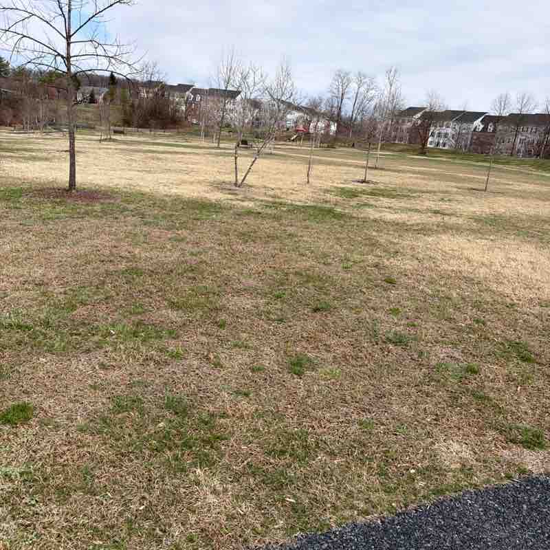 Williamsworth post 2