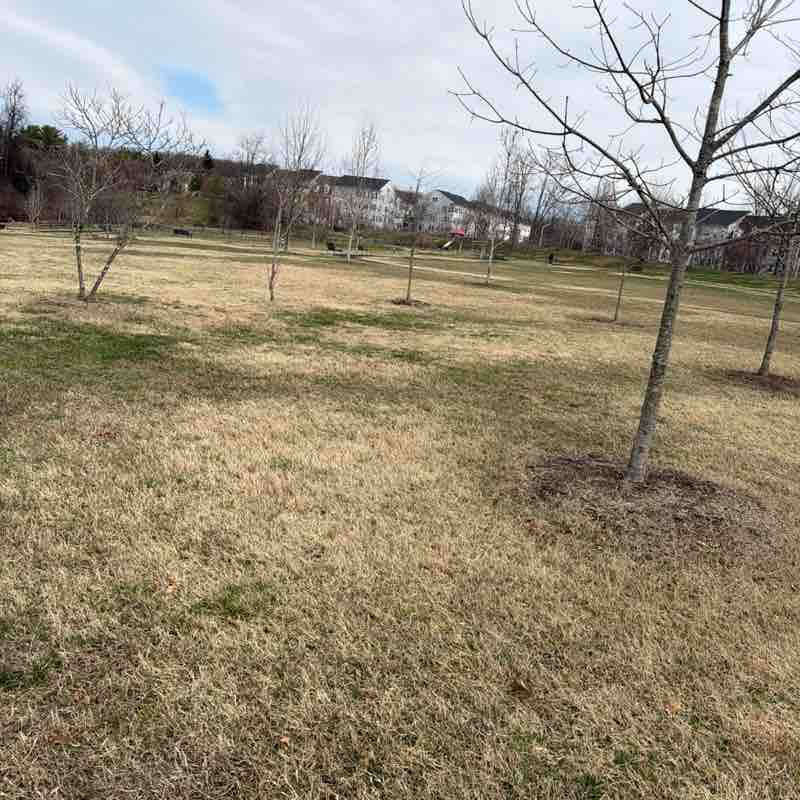 Williamsworth post 3