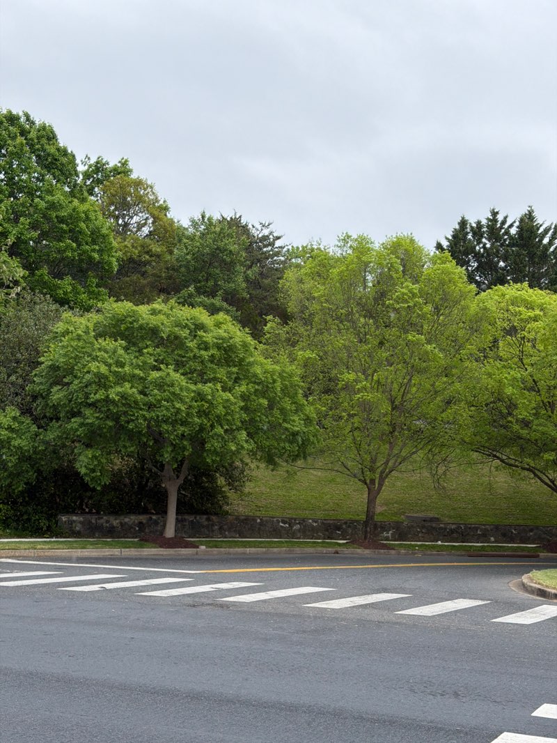 walking near me in Little Quarry Park in spring