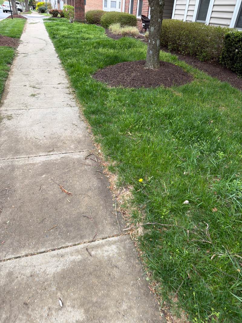 walking near me in King Farm Stream Valley Park in spring