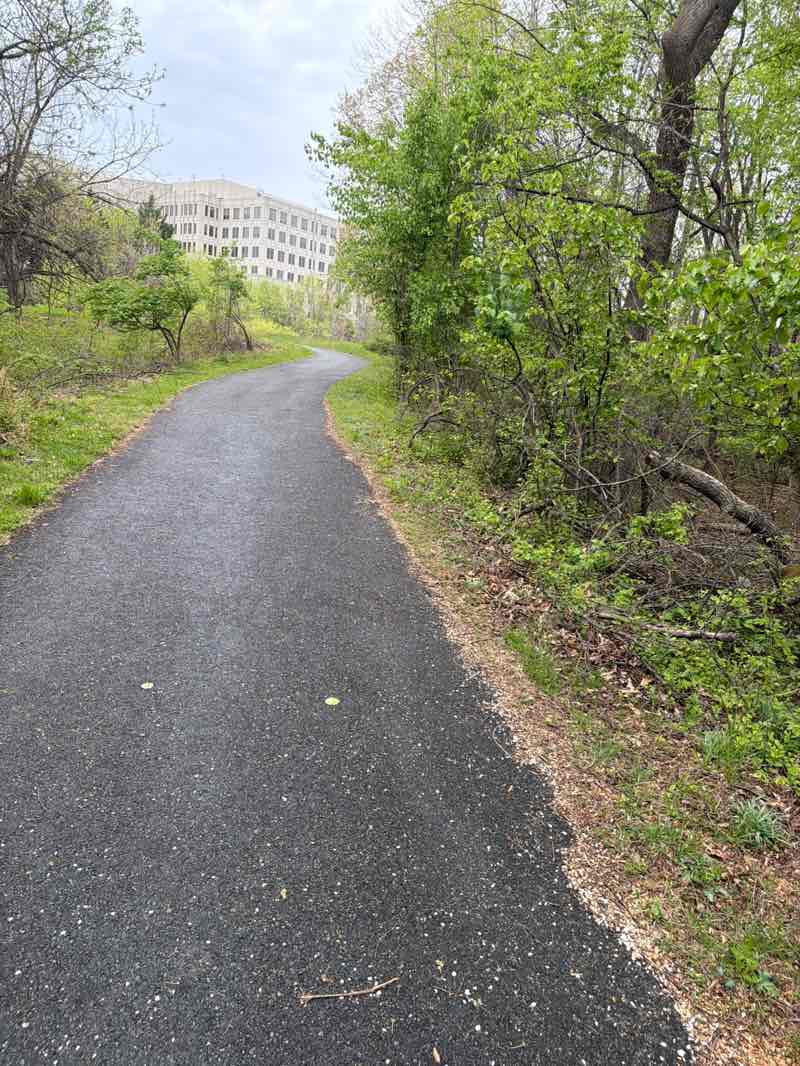 walking near me in King Farm Stream Valley Park in spring