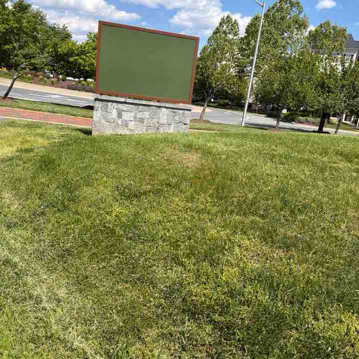 Williamsworth post 1