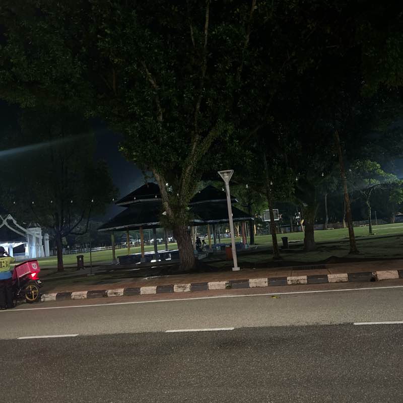 Muhammad Faizal post 1