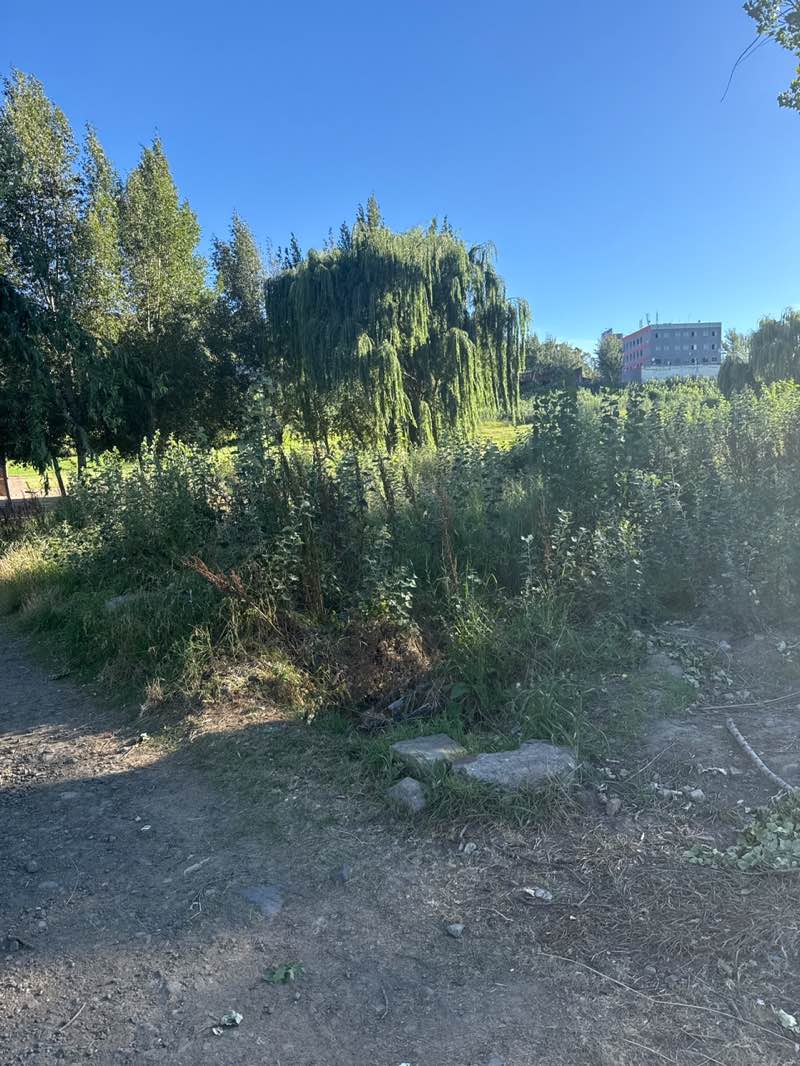 walking near me in Maseru Central Park in summer