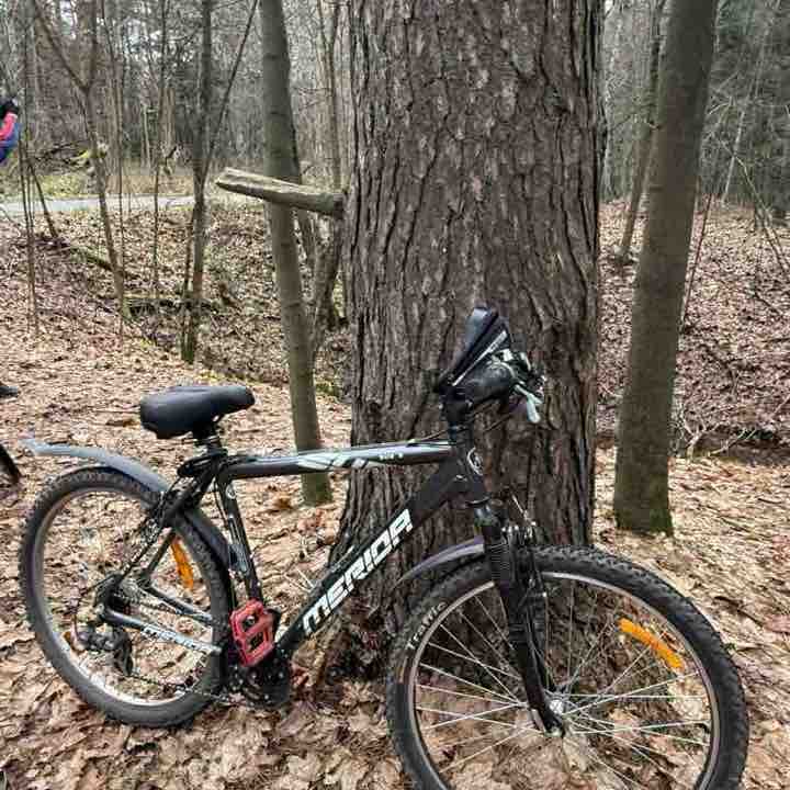 АО "НПП Пульсар" Дарья post image