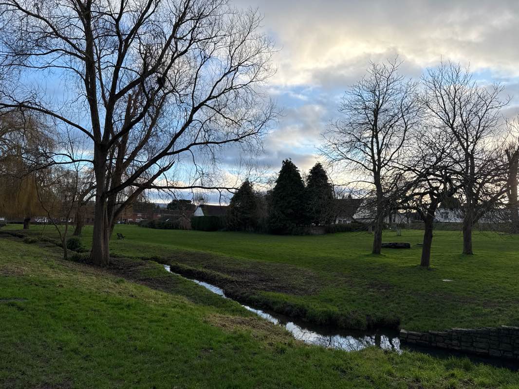 walking near me in Lyngford Park in winter