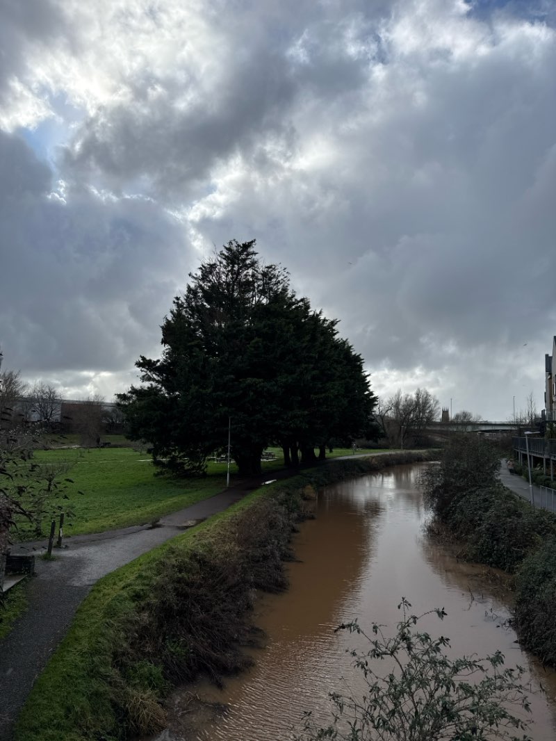 walking near me in Children's Wood in winter