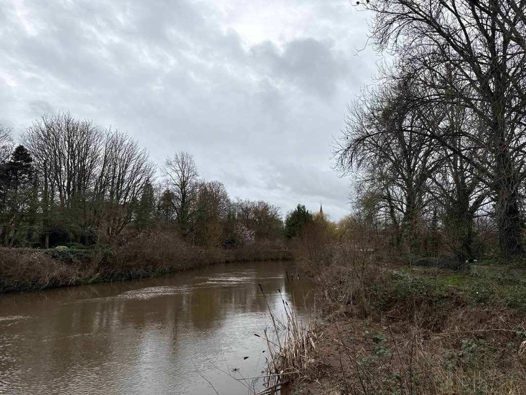 walking near me in Goodlands Gardens in winter
