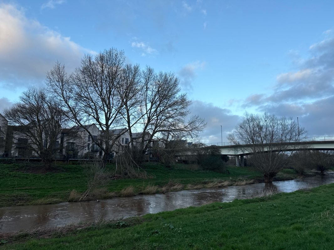 walking near me in Children's Wood in winter