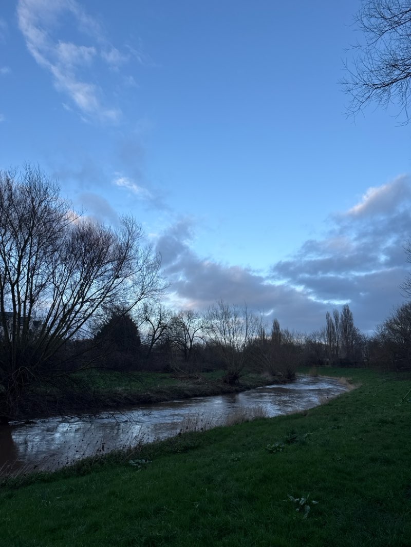 walking near me in Children's Wood in winter
