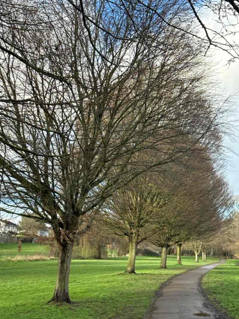 walking near me in Taunton Green in winter