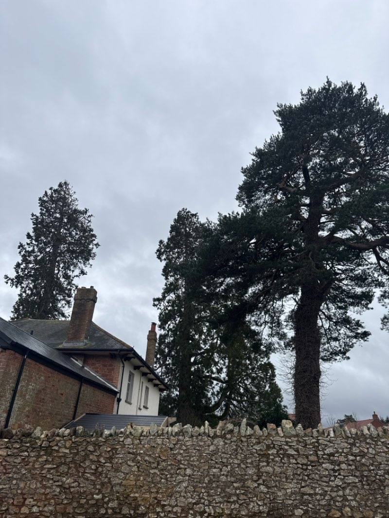 walking near me in Hilltop Park in winter
