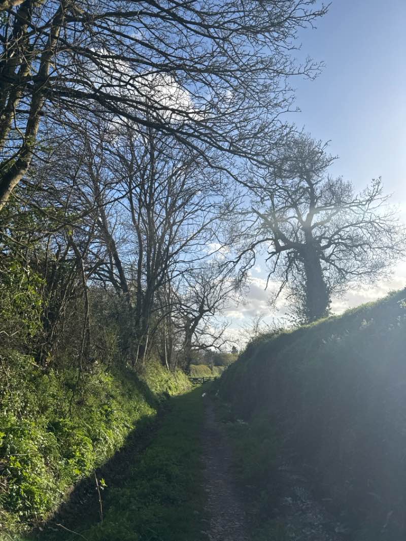 walking near me in Gadd's Bottom Nature Reserve in spring