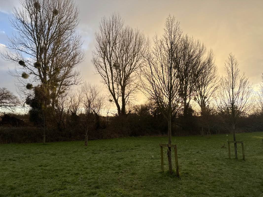 walking near me in Maidenbrook Country Park in winter