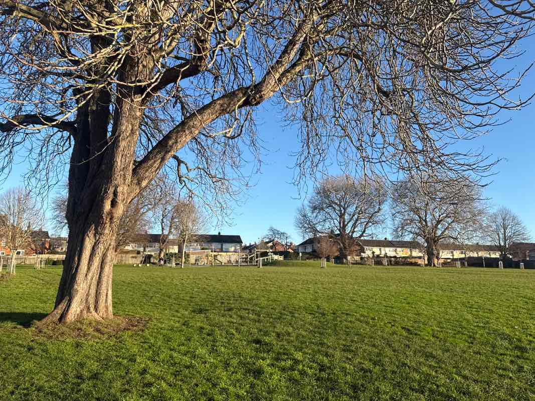 walking near me in Greenway Park in winter