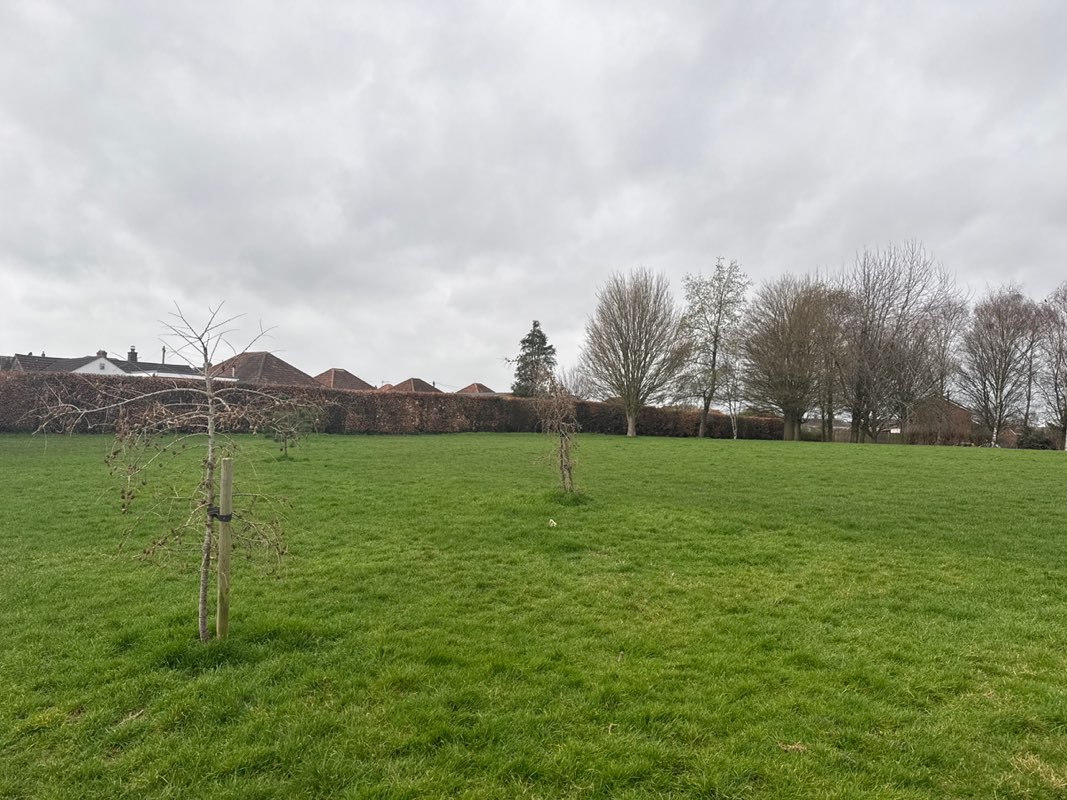 walking near me in Holway Green in winter