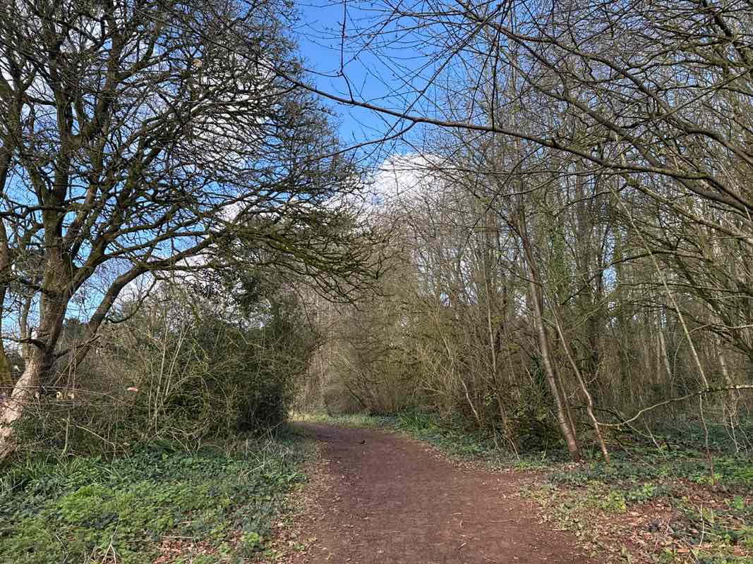 walking near me in The Spinney in winter